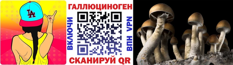 Псилоцибиновые грибы мухоморы  Купить  Канск 